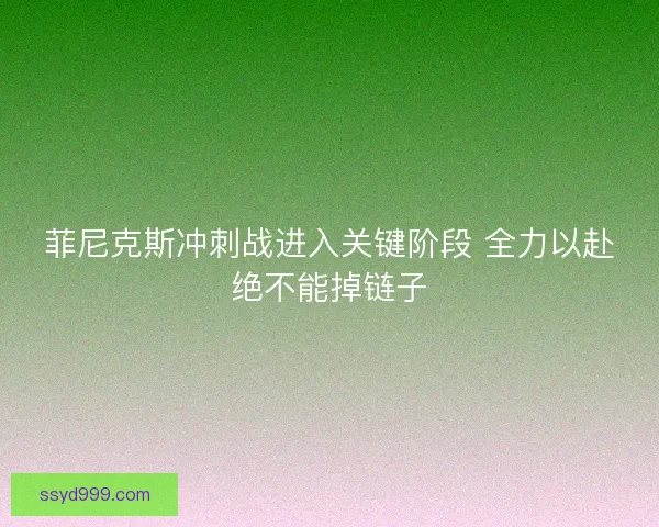 菲尼克斯冲刺战进入关键阶段 全力以赴绝不能掉链子 菲尼克斯冲刺战进入关键阶段 全力以赴绝不能掉链子