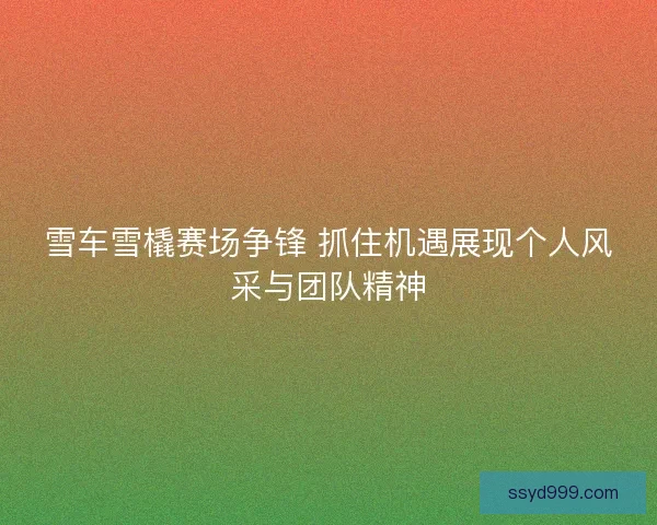 雪车雪橇赛场争锋 抓住机遇展现个人风采与团队精神 雪车雪橇赛场争锋 抓住机遇展现个人风采与团队精神