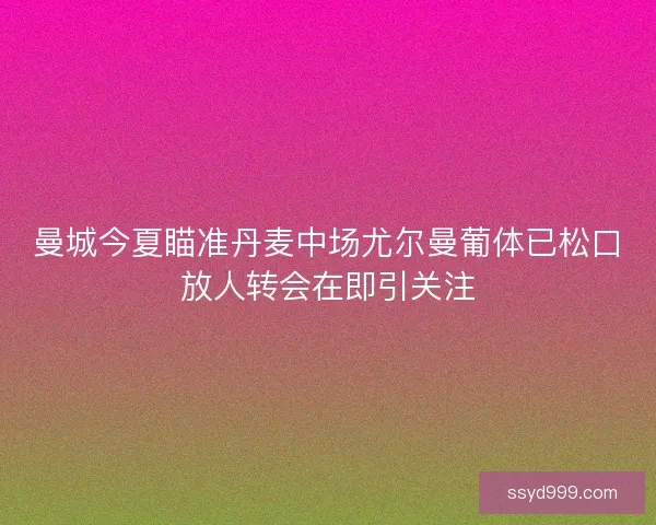 曼城今夏瞄准丹麦中场尤尔曼葡体已松口放人转会在即引关注